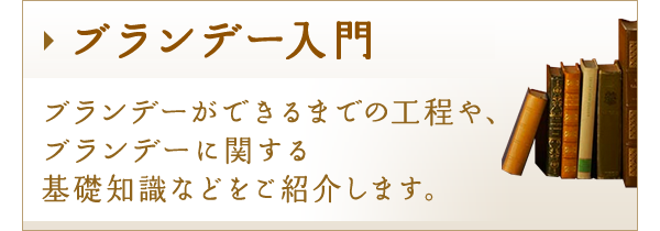 【ブランデー入門】ブランデーの飲み方をご紹介します。