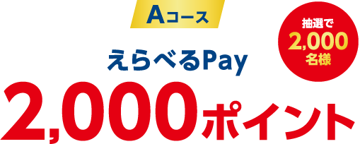 Aコース：えらべるPay 2,000ポイント　抽選で2,000名様