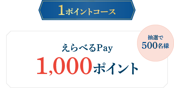 1ポイントコース：えらべるPay 1,000ポイント 抽選で500名様