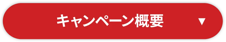 キャンペーン概要