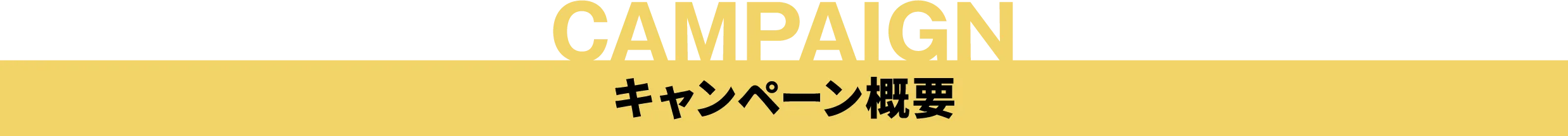 キャンペーン概要