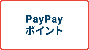 PayPayポイント