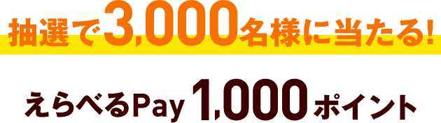抽選で3,000名様に当たる！えらべるPay1,000ポイント