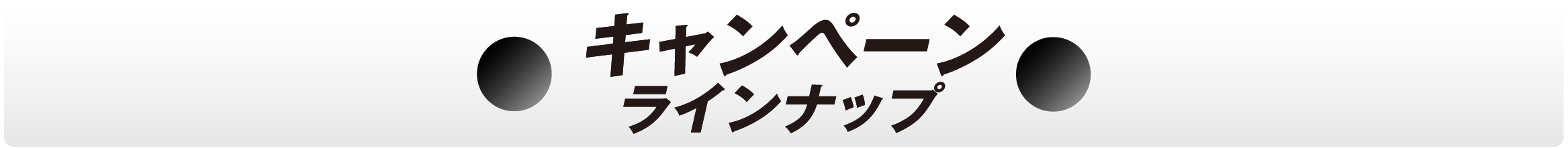 キャンペーンラインナップ