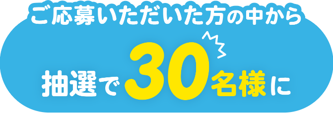 ご応募いただいた方の中から抽選で30名様に