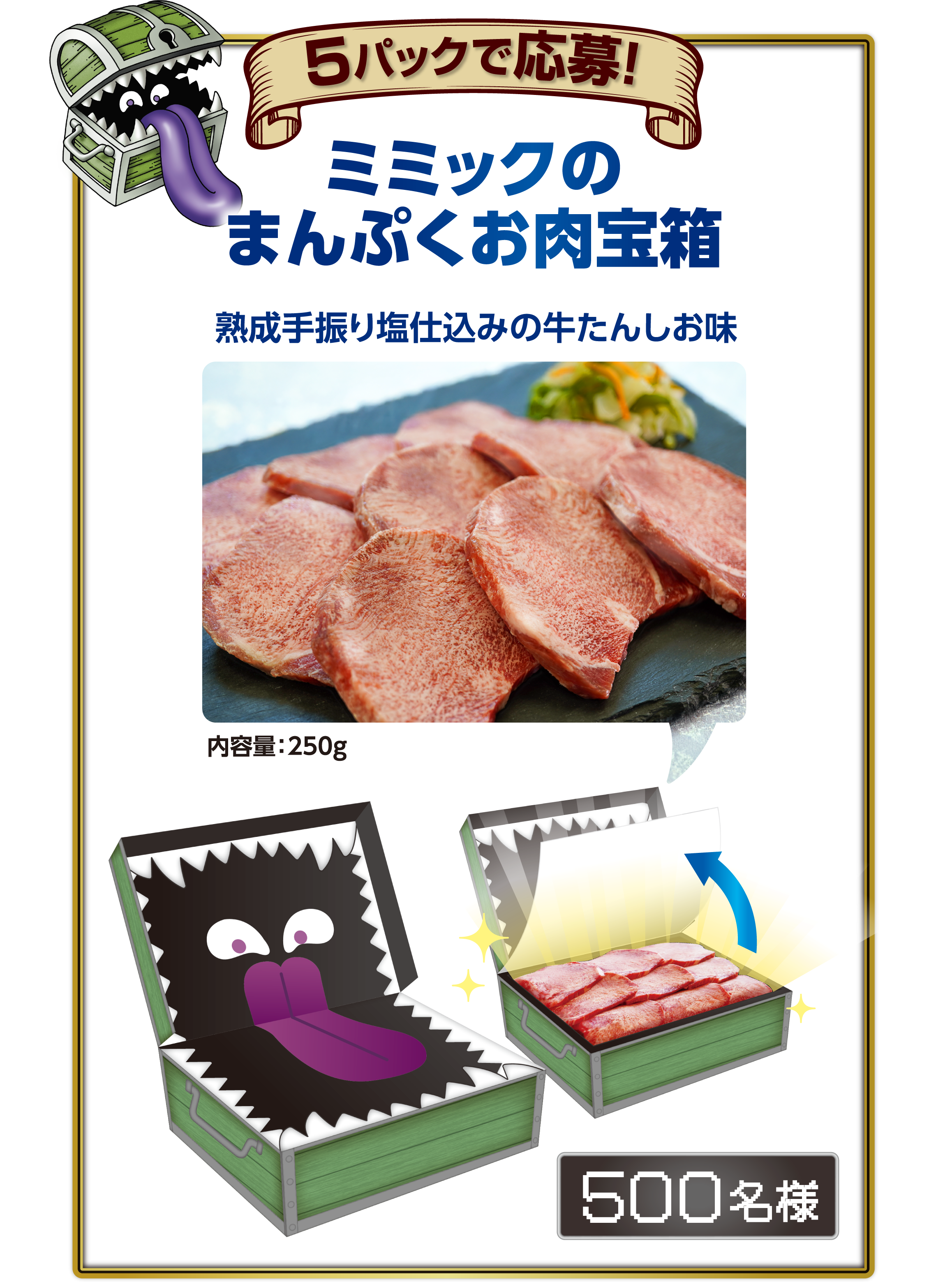 5パックで応募！ ミミックのまんぷくお肉宝箱 熟成手振り塩仕込みの牛たんしお味 内容量：250g 500名様