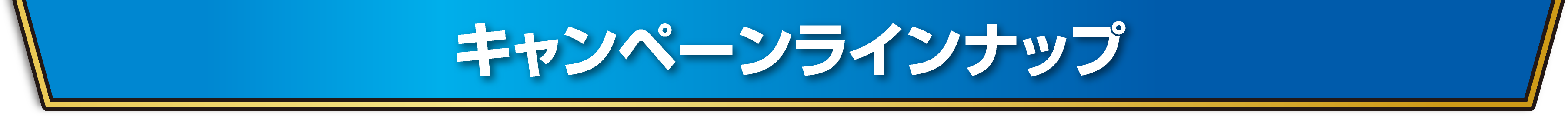 キャンペーンラインナップ