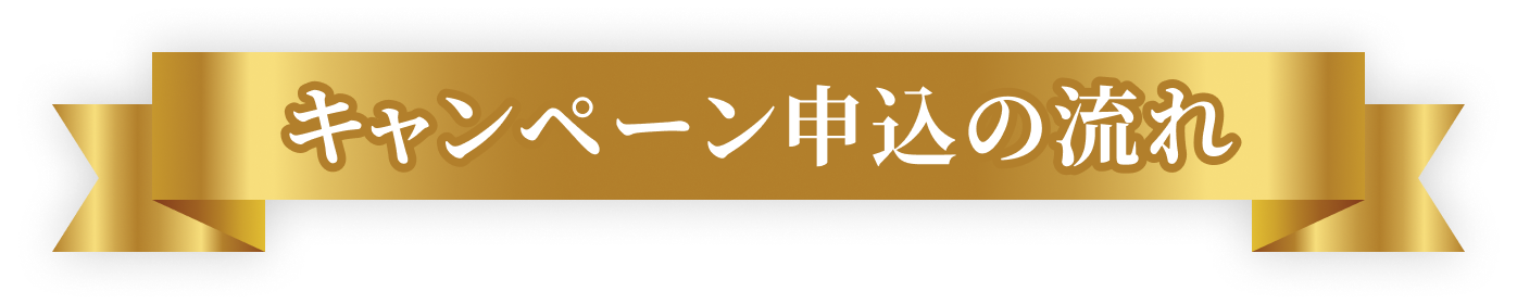 キャンペーン申込の流れ