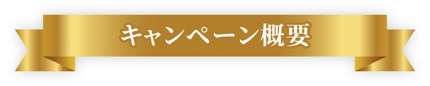 キャンペーン概要