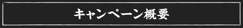 キャンペーン概要