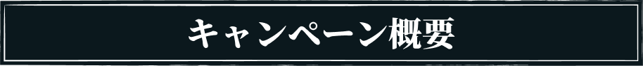 キャンペーン概要