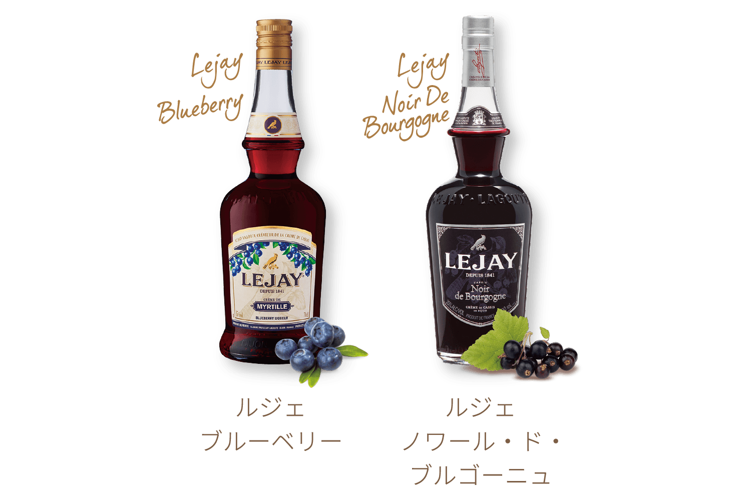 ルジェブルーベリー ルジェノワール・ド・ブルゴーニュ
