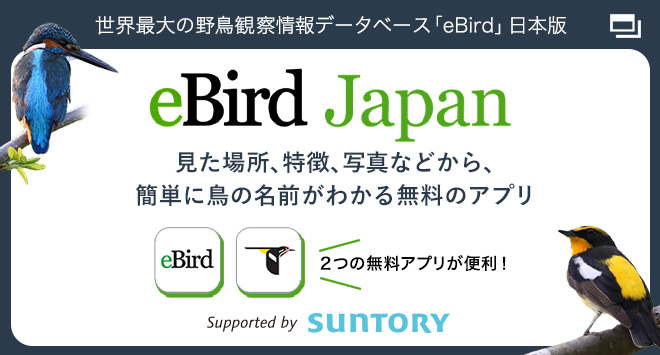 世界最大の野鳥観察情報データベース「eBird」日本版 eBird Japan 見た場所、特徴、写真などから、簡単に鳥の名前がわかる無料のアプリ 2つの無料アプリが便利!Supported by SUNTORY