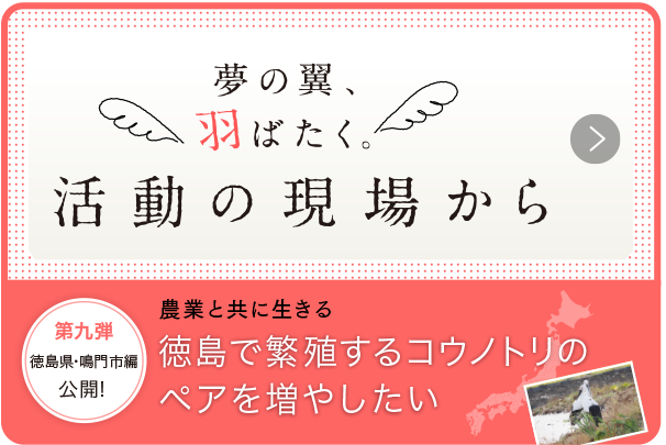 夢の翼、羽ばたく、活動の現場から