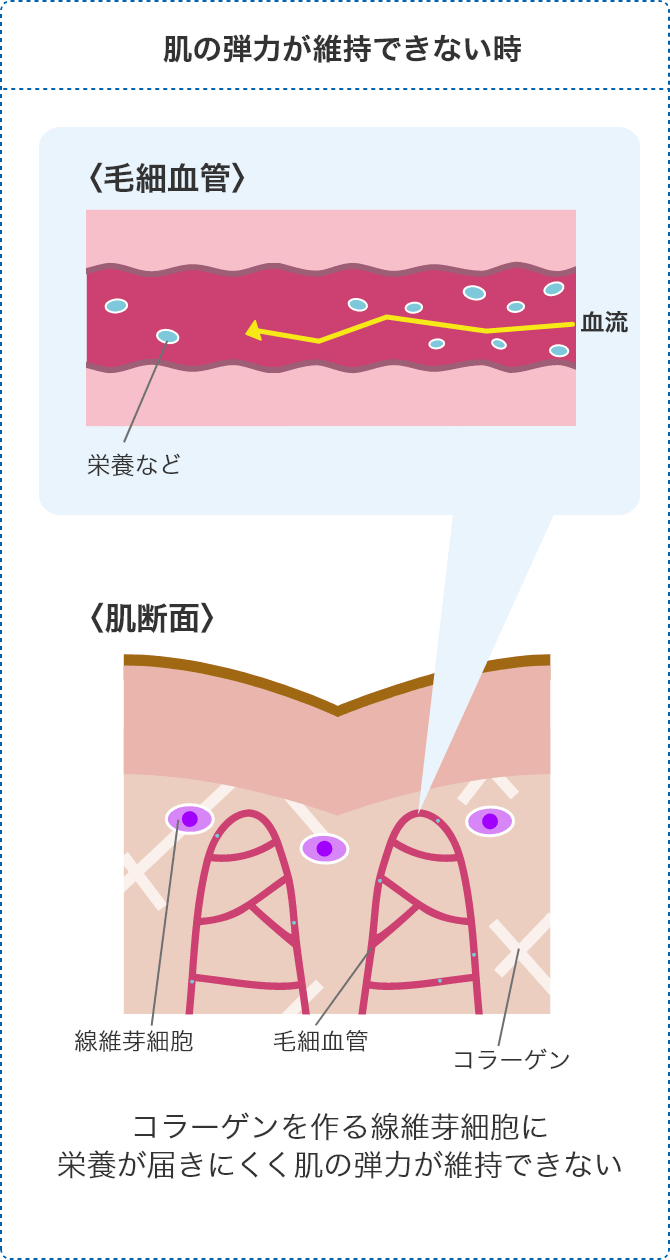 肌の弾力が維持できない時
