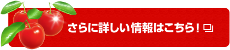 さらに詳しい情報はこちら！