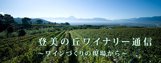 登美の丘ワイナリー通信 ワインづくりの現場から